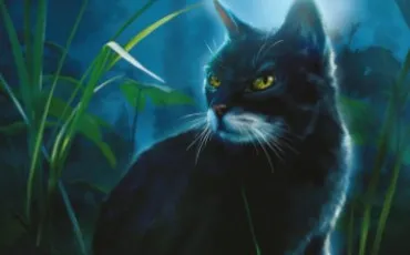 Quiz Litt�rature, po�sie