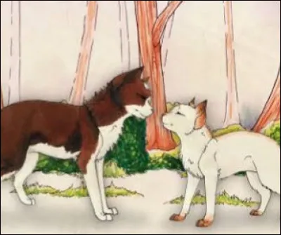 Quels chats ont &eacute;t&eacute; ses mentors ?