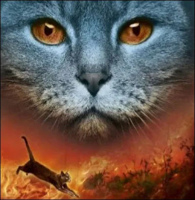 Qui sont les chats qui ont recueilli Violette Brillante et sa s�ur lorsqu'elles &eacute;taient toute petites ?