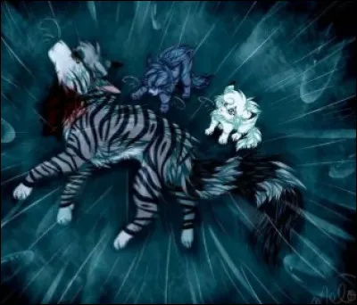 Comment est-elle morte ? (la m&egrave;re)