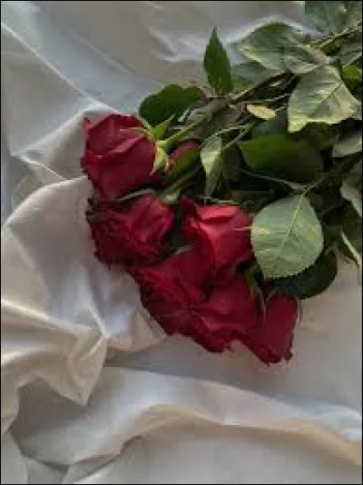 Quelle est ta force principale selon toi ?