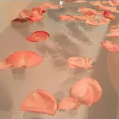 Quel compliment te touche le plus ?