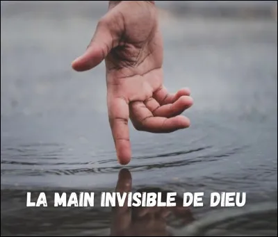 En &eacute;conomie, le concept de "main invisible" est associ&eacute; &agrave;...