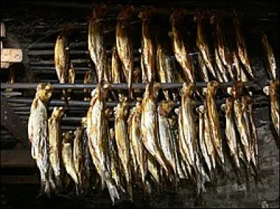 Quelle est l�appellation commun&eacute;ment donn&eacute;e par l�industrie alimentaire au hareng sal&eacute; et fum&eacute; ?
