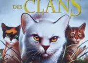 Quiz Trouve le bon personnage ''LGDC''