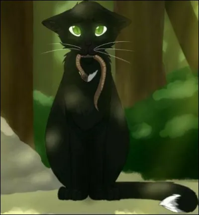 Qui est ce chat qui a gard&eacute; son nom d'apprenti ?