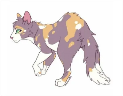 Qui est ce beau chat ?