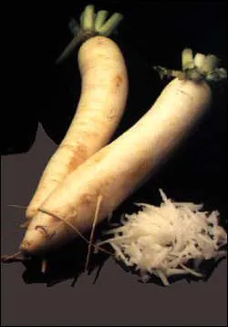 Quel est ce tubercule ?