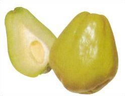 Quiz Legumes
