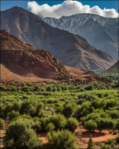 Quelle cha&icirc;ne de montagnes traverse le Maroc ?