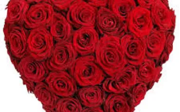 Quiz Culture g�n�rale