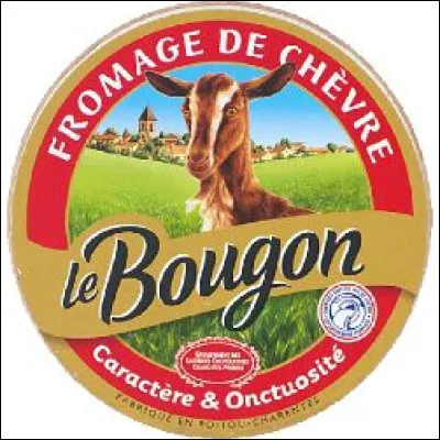 Le Bougon est un fromage de ch&egrave;vre &agrave; p&acirc;te molle, cro&ucirc;te naturelle. O&ugrave; se concentre l'essentiel de sa production ?