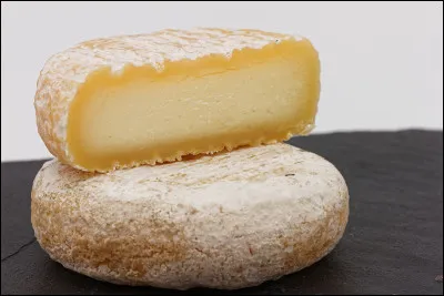 Quel est ce fromage au lait cru de ch&egrave;vre &agrave; p&acirc;te molle et cro&ucirc;te, produit dans les C&eacute;vennes ard&eacute;choises, la vall&eacute;e du Rh&ocirc;ne et les Pr&eacute;alpes dr&ocirc;moises ?