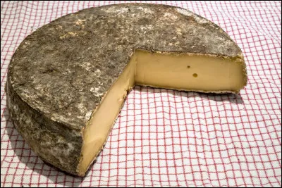 Quel est ce fromage au lait de vache de la r&eacute;gion des monts Dore et du C&eacute;zallier, b&eacute;n&eacute;ficiant d'une AOC depuis 1955 et d'une AOP depuis 1996 ?