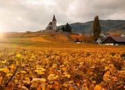 Quiz 100% Alsace : Le quiz qui sent la choucroute !