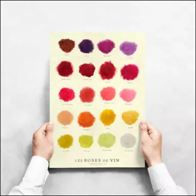 Quelle est ta couleur pr&eacute;f&eacute;r&eacute;e ?