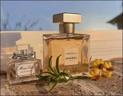 OK, d'accord ! Sinon, tu pr&eacute;f&egrave;res quand un parfum a...