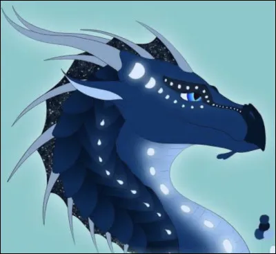 Quelles sont ses blessures ?