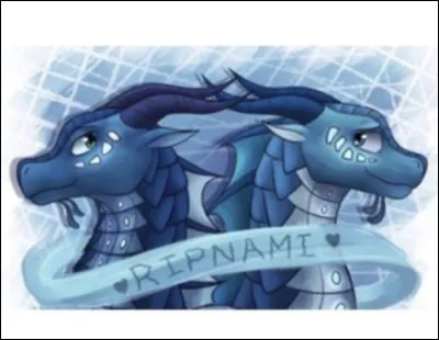 Sur l�image, o&ugrave; est Naufrage ?