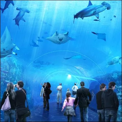 Quel centre de d&eacute;couverte de l'environnement marin, con&ccedil;u par l�architecte Jacques Rougerie, a &eacute;t&eacute; ouvert en 1991 &agrave; Boulogne-sur-Mer ?