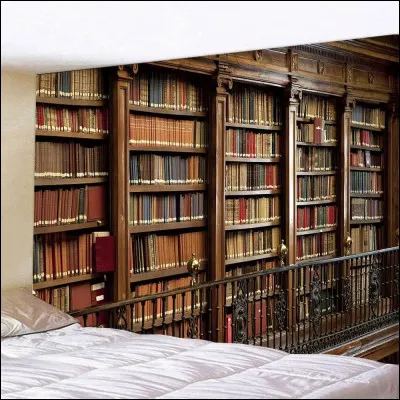 Il peut y avoir plusieurs narrateurs en un seul tome.