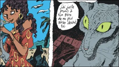 Joann Sfar est uniquement sc&eacute;nariste et ne dessine jamais ses propres bandes dessin&eacute;es.