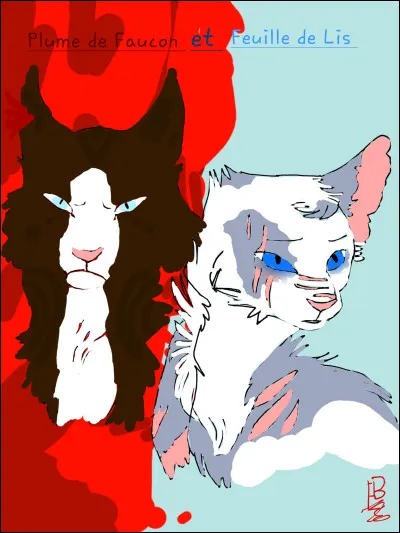 Image 2 - il s'agit de...