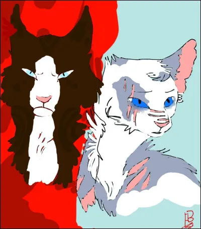 Image 2 - il s'agit de...