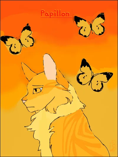 Image 6 - il s'agit de...