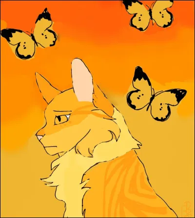 Image 6 - il s'agit de...