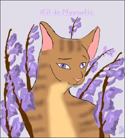 Image 7- il s'agit de...