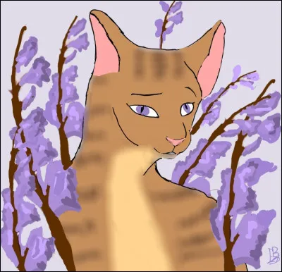 Image 7- il s'agit de...