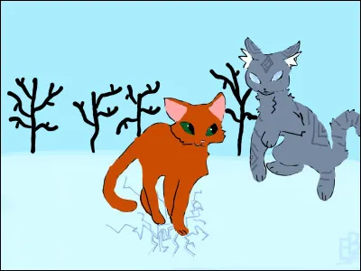 Image 8-Qui est ce chat roux ?