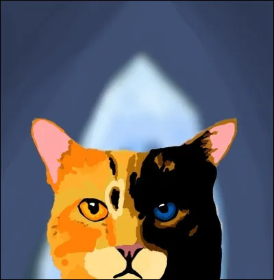 Image 9-Mais qui est cette f&eacute;line au physique unique ? (Je sais qu'elle ressemble un peu &agrave; moonpaw mais c'est un personnage de ma fanfiction le clan de la Lune, je l'ai mise dans un forum de mon groupe)