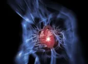 Quiz Vrai ou faux : Le corps humain