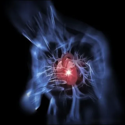 Le c�ur humain bat en moyenne plus de 100 000 fois par jour.