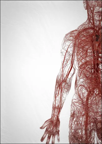 Le sang humain est bleu avant d�&ecirc;tre expos&eacute; &agrave; l�air.