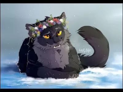 Je suis l'ancienne gu&eacute;risseuse du Clan de l'Ombre j'ai eu des chatons dont un qui est devenu un chef sanguinaire que j'ai fini par assassiner :