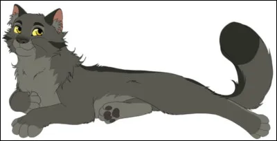 Je suis le meilleur ami d'un chef du Clan du Tonnerre j'ai eu deux compagnes dont une d'un clan rival d&eacute;c&eacute;d&eacute; en donnant naissance &agrave; mes premiers chatons :