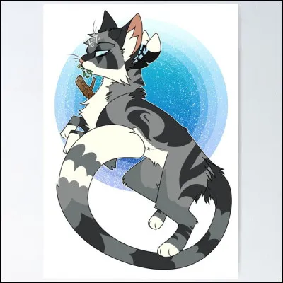 Je suis devenu gu&eacute;risseur du Clan du Tonnerre &agrave; cause de ma c&eacute;cit&eacute;, je suis li&eacute; &agrave; une proph&eacute;tie qui me donne un pouvoir puissant :