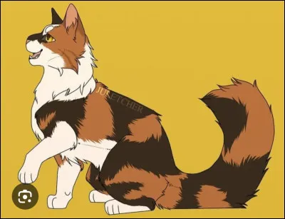 Je suis une guerri&egrave;re du Clan du Tonnerre, j'ai eu plusieurs chatons avec Poil de Foug&egrave;re, je suis blanche et &eacute;caille au yeux ambr&eacute;s :