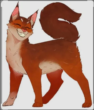 Je suis une chatte &eacute;nergique je suis la fille d'un chef du Clan du Tonnerre, j'ai h&eacute;sit&eacute; entre deux amours puis j'ai cach&eacute; de nombreux secrets :