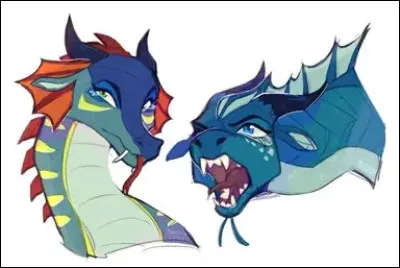 Qui est une Aile de Pluie ?