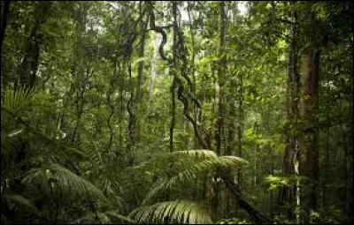 Trouvez le mot correspondant &agrave; : Homme aux st&egrave;res !