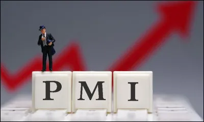 Que veut dire PMI ?