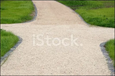 Pourquoi deviens-tu Hunter ?