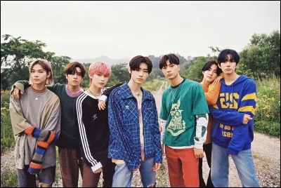 Comment te qualifierais-tu ?