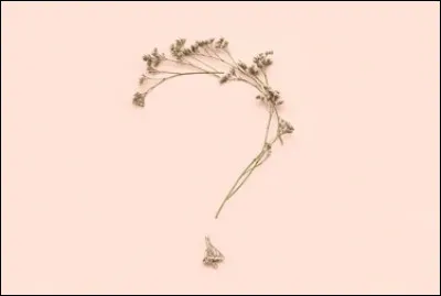 Quelle fleur fleurit entre janvier et mars ?