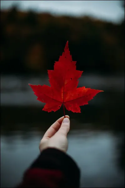 Quel symbole repr&eacute;sente le Canada ?