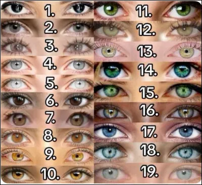 De quelle couleur sont tes yeux ?